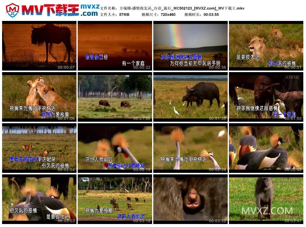 方瑞娥-感情按怎还_台语_流行_MC502123